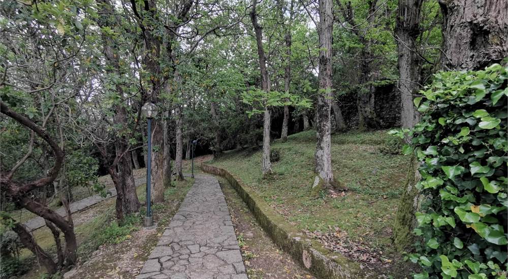 Photo 21