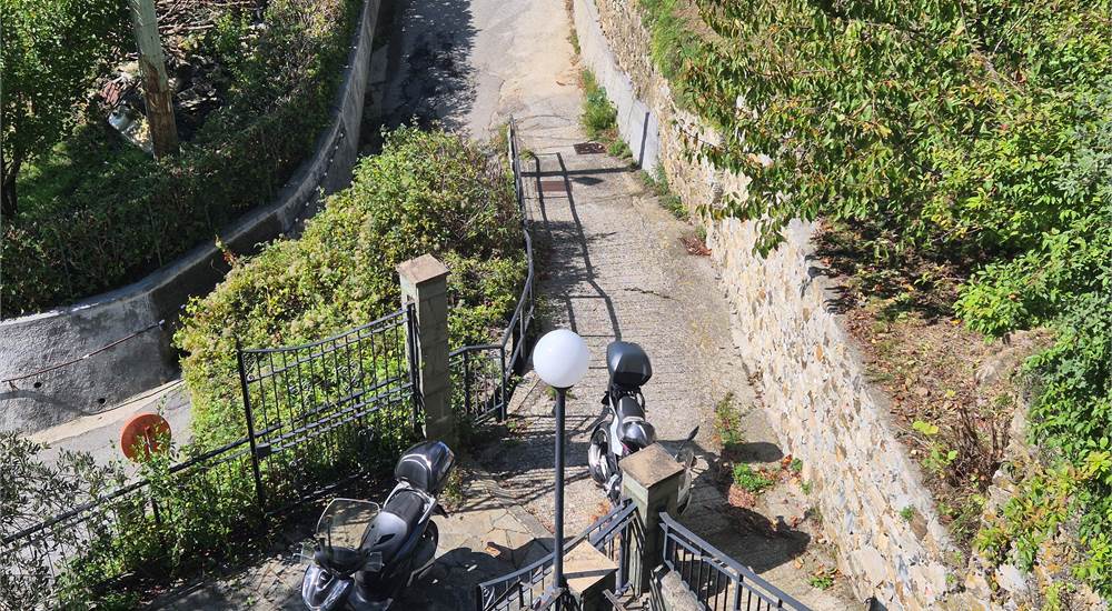 Photo 45