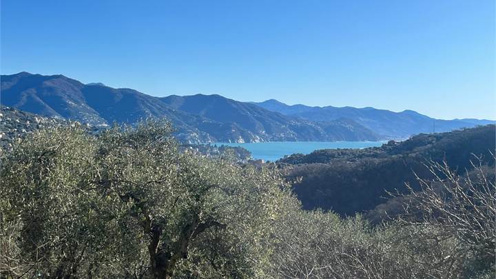 SANTA MARGHERITA LIGURE Villa ubicata in un angolo di paradiso affacciato sul mare