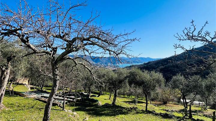 SANTA MARGHERITA LIGURE Totale vista mare Incantevole proprietà